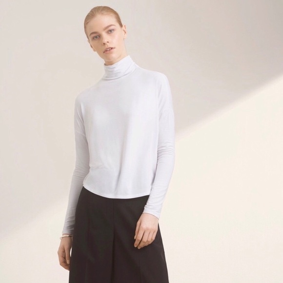 Aritzia Tops - Babaton Seaton Turtleneck